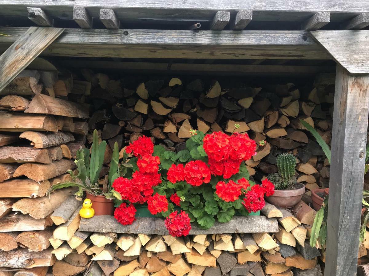 Privatunterkunft Dullnig Obervellach